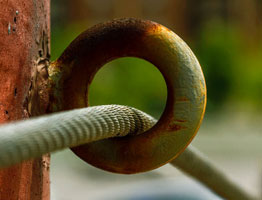 验证码平台的Web漏洞扫描工具